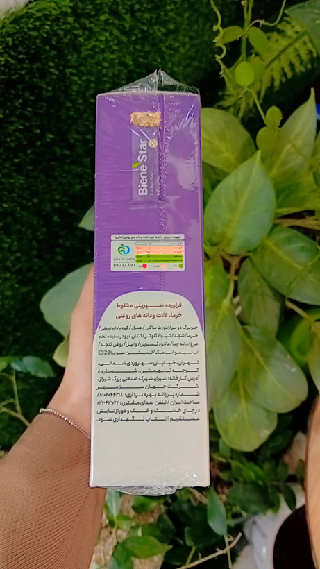 پروتئین بار کیچا بین استار بسته ۶ عددی ۲۴۰ گرم